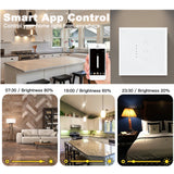 Wifi Smart Dimmer Light Switch LED Brightness Adjustment Control Wall Touch Switch Tuya Smart Life Voice for Alexa Google Siri