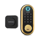 Wifi Fingerprint Smart Door Lock Biometric Keyless Entry Front Lock Remote Control Keypad Electronic Deadbolt Lock Home