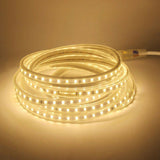 220V LED Strip Lights 5050 Waterproof High Brightness Flexible Lamp Tape Kitchen Outdoor Garden Room Decor LED Strip With Switch