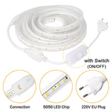 220V LED Strip Lights 5050 Waterproof High Brightness Flexible Lamp Tape Kitchen Outdoor Garden Room Decor LED Strip With Switch