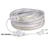 220V LED Strip Lights 5050 Waterproof High Brightness Flexible Lamp Tape Kitchen Outdoor Garden Room Decor LED Strip With Switch