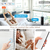 WIFI Smart Electric Curtain Motors Chain Roller APP Control Blinds Pull Bead Curtain Motor System For Alexa Google Home