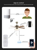 Tuya Smart Life Ceiling Fan Controller WIFI Fan Light Kit With RF Remote Control APP Speed Switch Dimmer Work With Alexa Google
